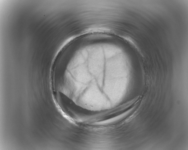 X0000066001038200603311951