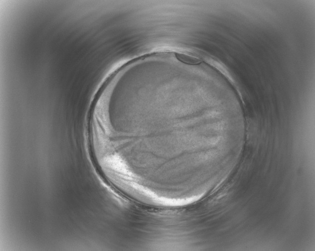 X0000066001048200603311952