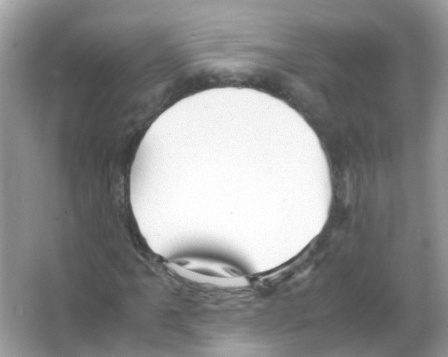 X0000066001061200603311951