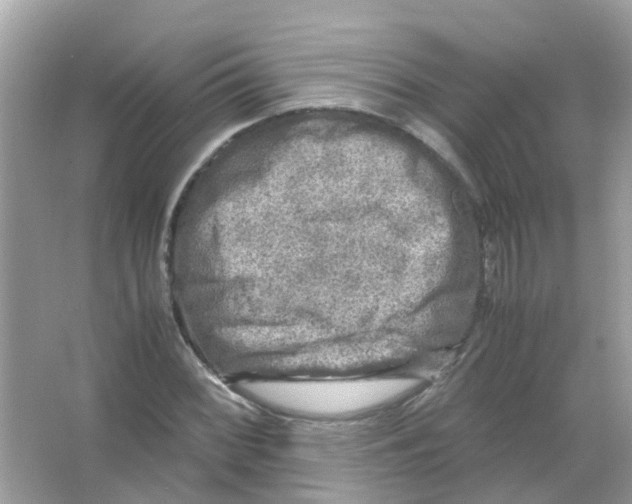 X0000066001068200603311951