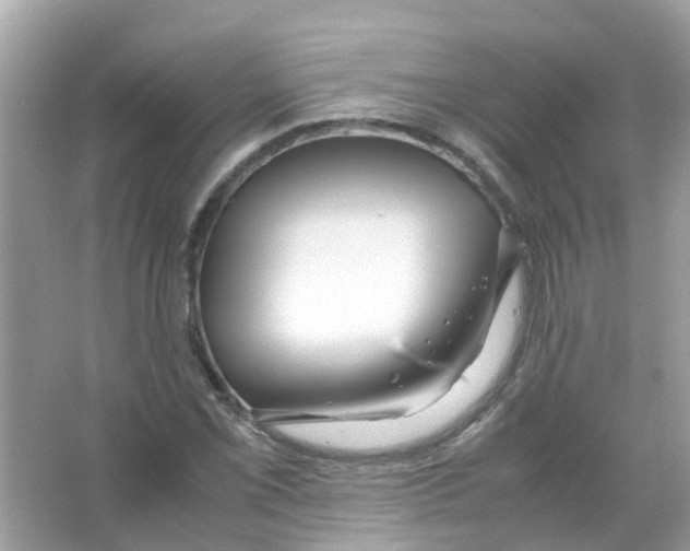 X0000066001069200603311951