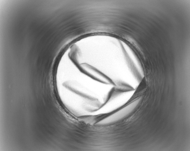 X0000066001072200603311951