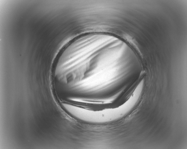 X0000066001085200603311951