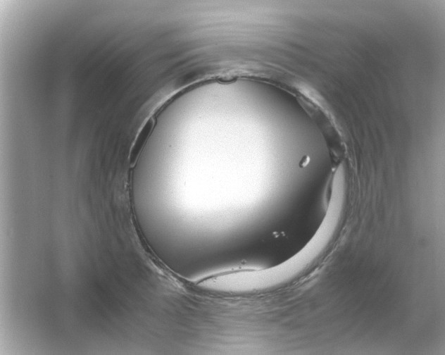 X0000066001089200603311950