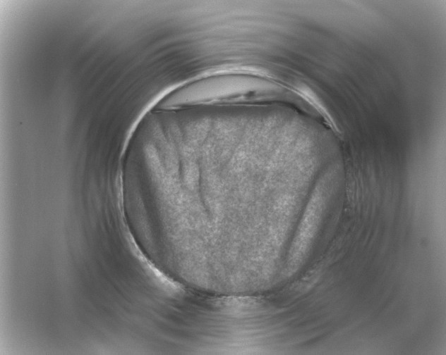 X0000066001092200603311950