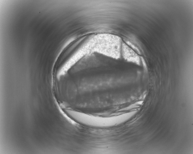 X0000066001095200603311950