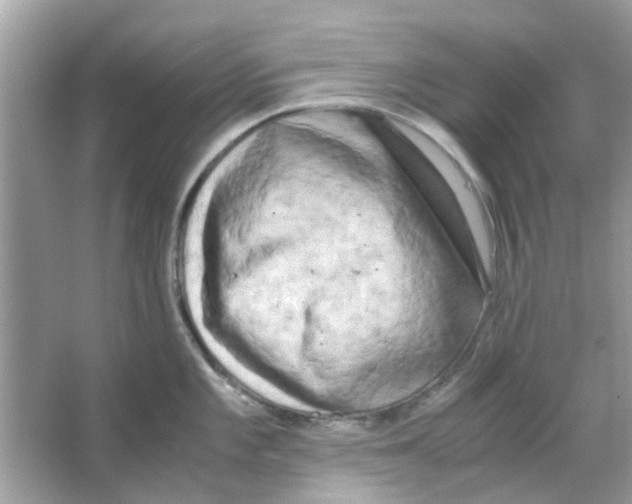 X0000066001101200603311950
