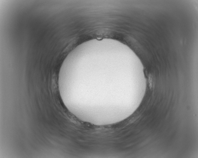 X0000066001107200603311949