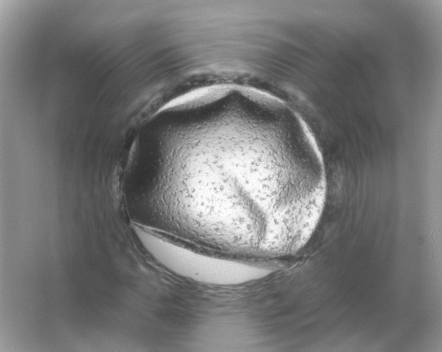 X0000066001110200603311949