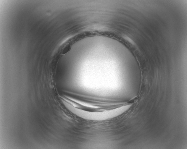 X0000066001112200603311949