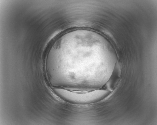 X0000066001114200603311950