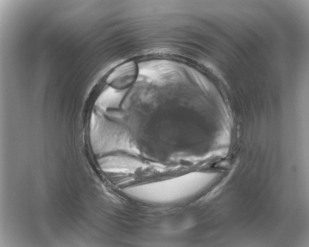 X0000066001117200603311950
