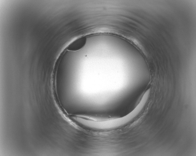 X0000066001134200603311950