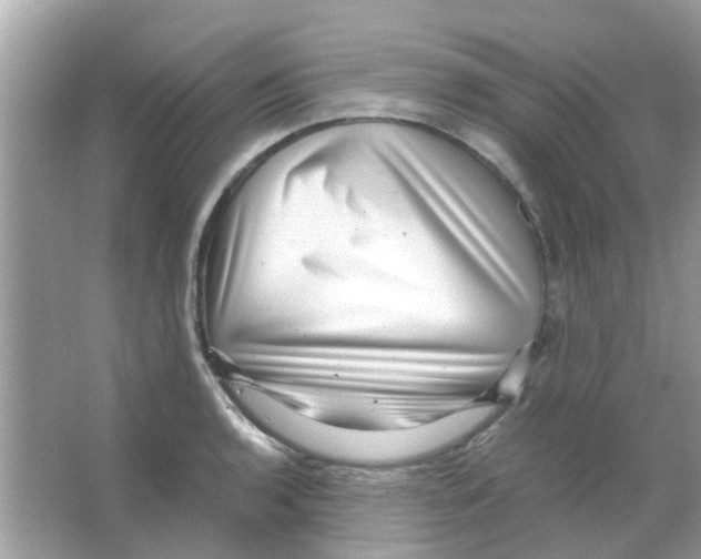 X0000066001136200603311950