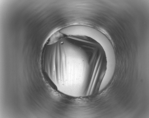 X0000066001138200603311950