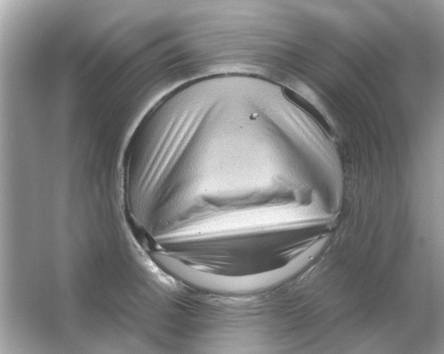 X0000066001140200603311950