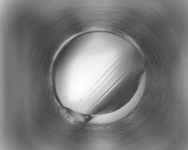 X0000066001148200603311950
