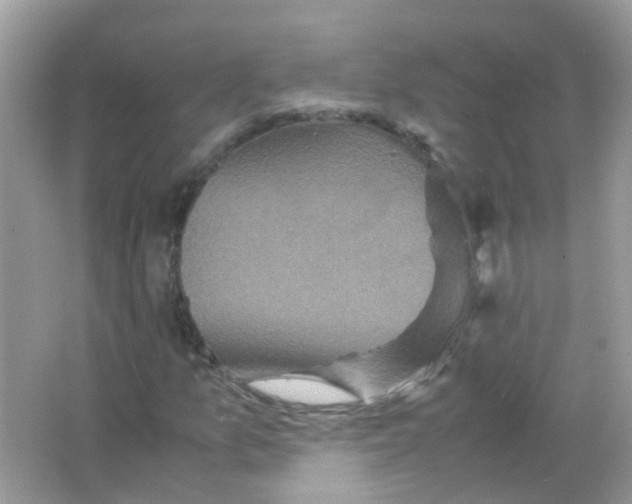 X0000066001157200603311949
