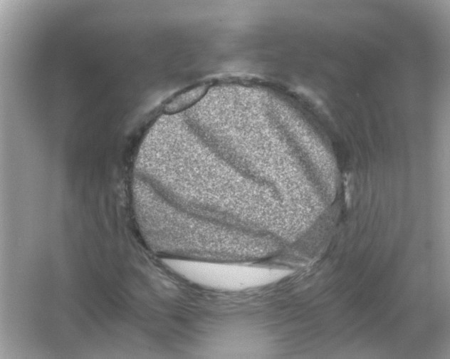 X0000066001159200603311949