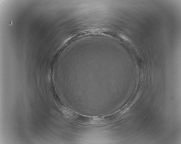 X0000066001161200603311949