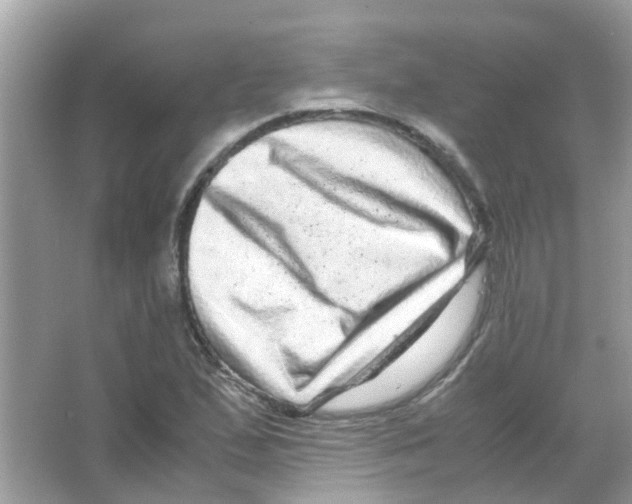 X0000066001167200603311949