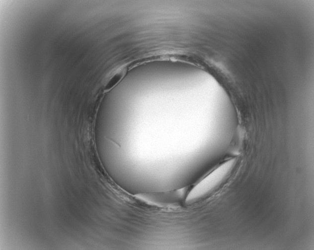 X0000066001169200603311949