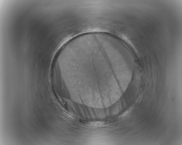 X0000066001173200603311949