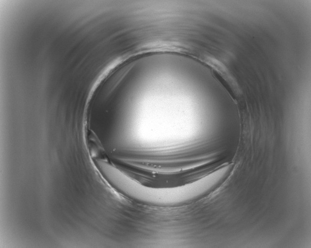 X0000066001188200603311949