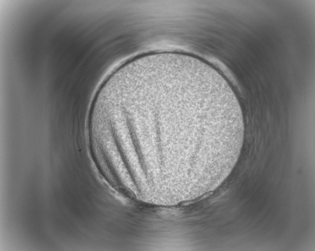 X0000066001191200603311949