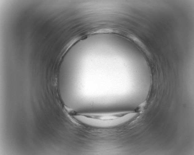 X0000066001193200603311949
