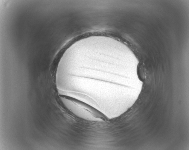 X0000066001208200603311948
