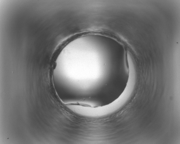 X0000066001214200603311948