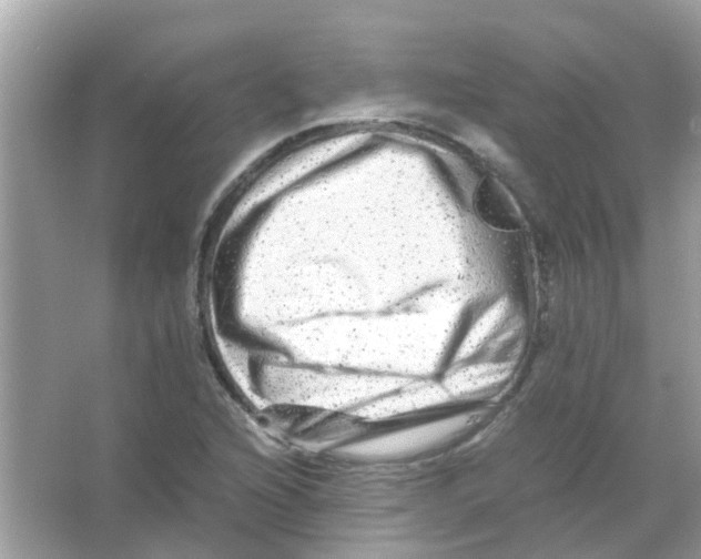 X0000066001216200603311948