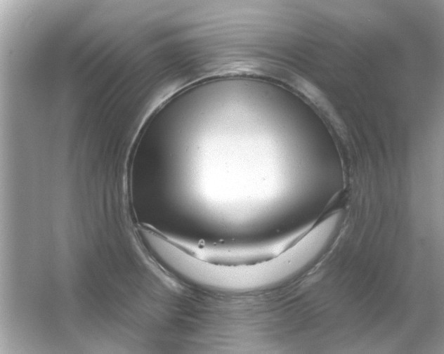 X0000066001234200603311948