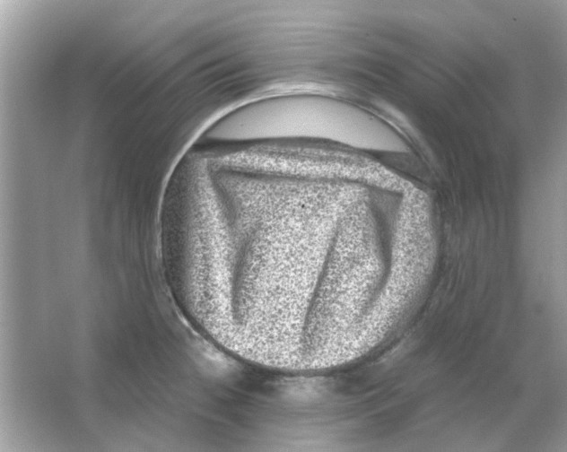 X0000066001236200603311948