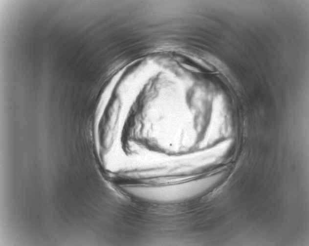X0000066001241200603311948