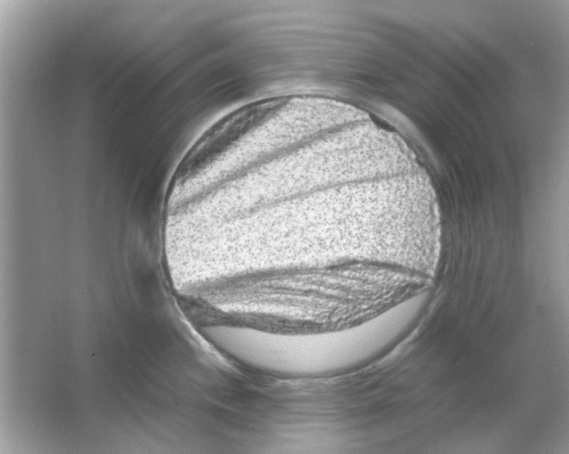 X0000066001244200603311948