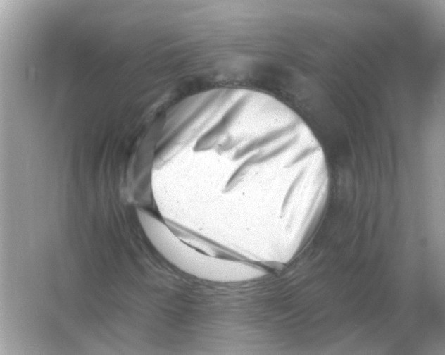 X0000066001250200603311948