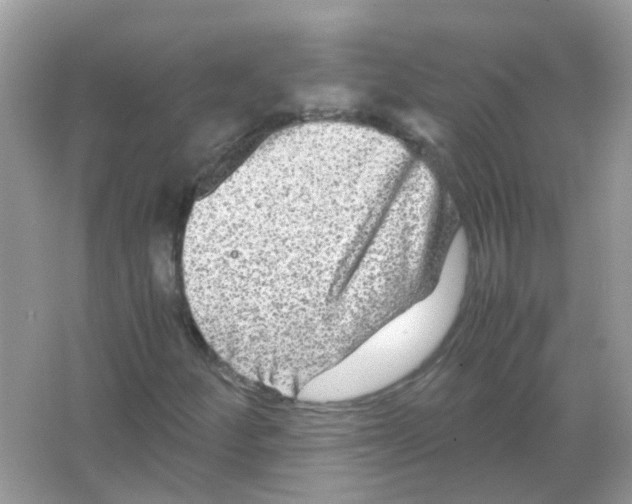 X0000066001252200603311948