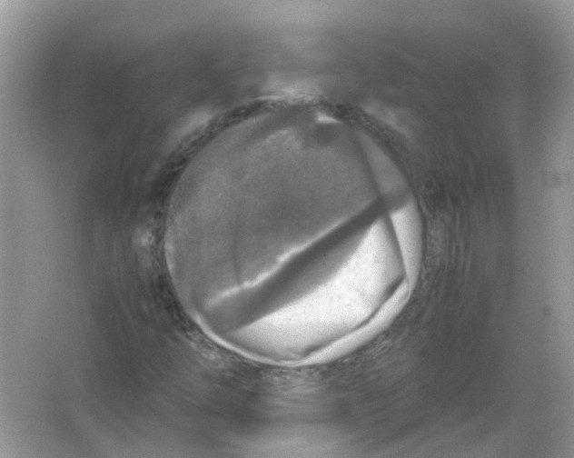 X0000066001254200603311948