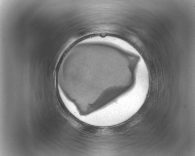X0000066001275200603311947