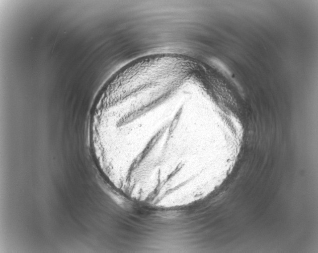 X0000066001276200603311947