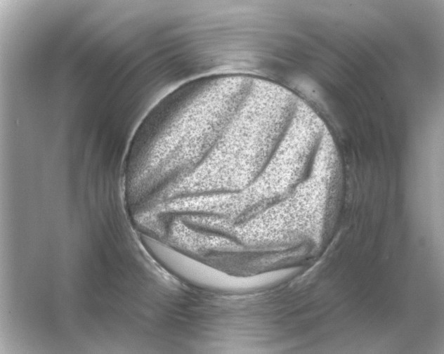X0000066001284200603311947