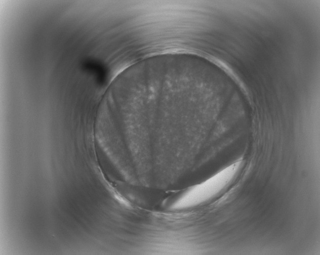 X0000066001289200603311947