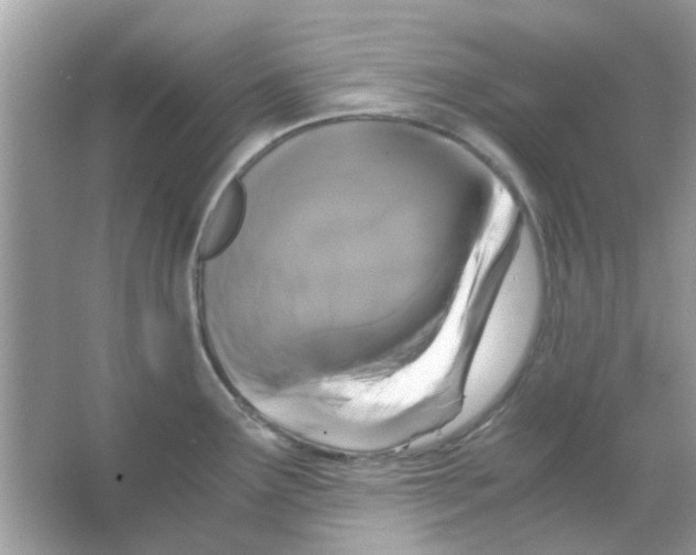 X0000066001291200603311947