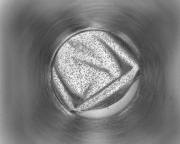 X0000066001292200603311947