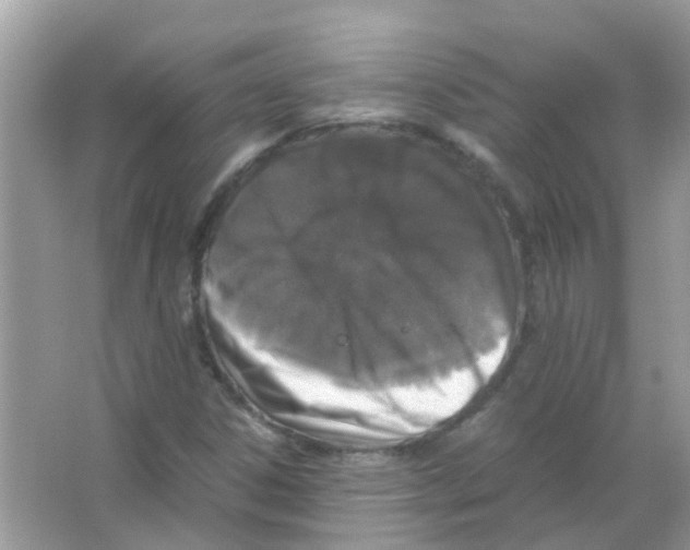 X0000066001306200603311946