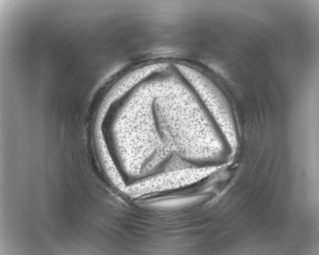 X0000066001309200603311946