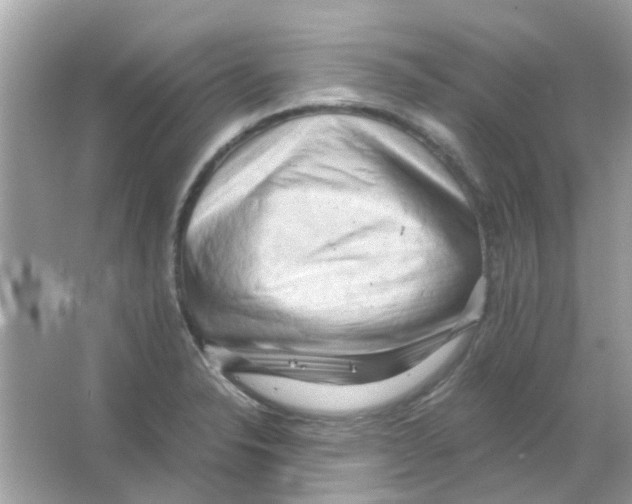 X0000066001326200603311947