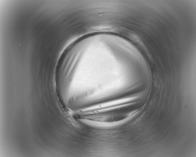 X0000066001328200603311947